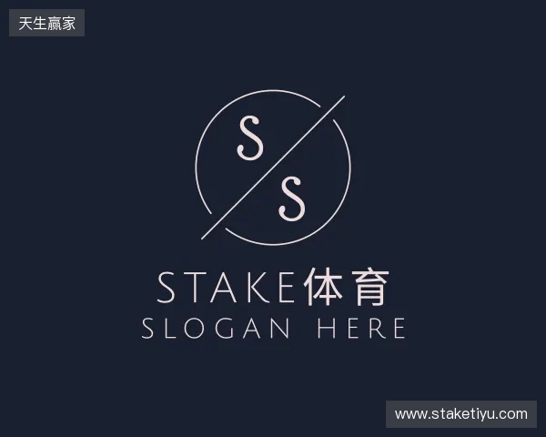 认识Stake